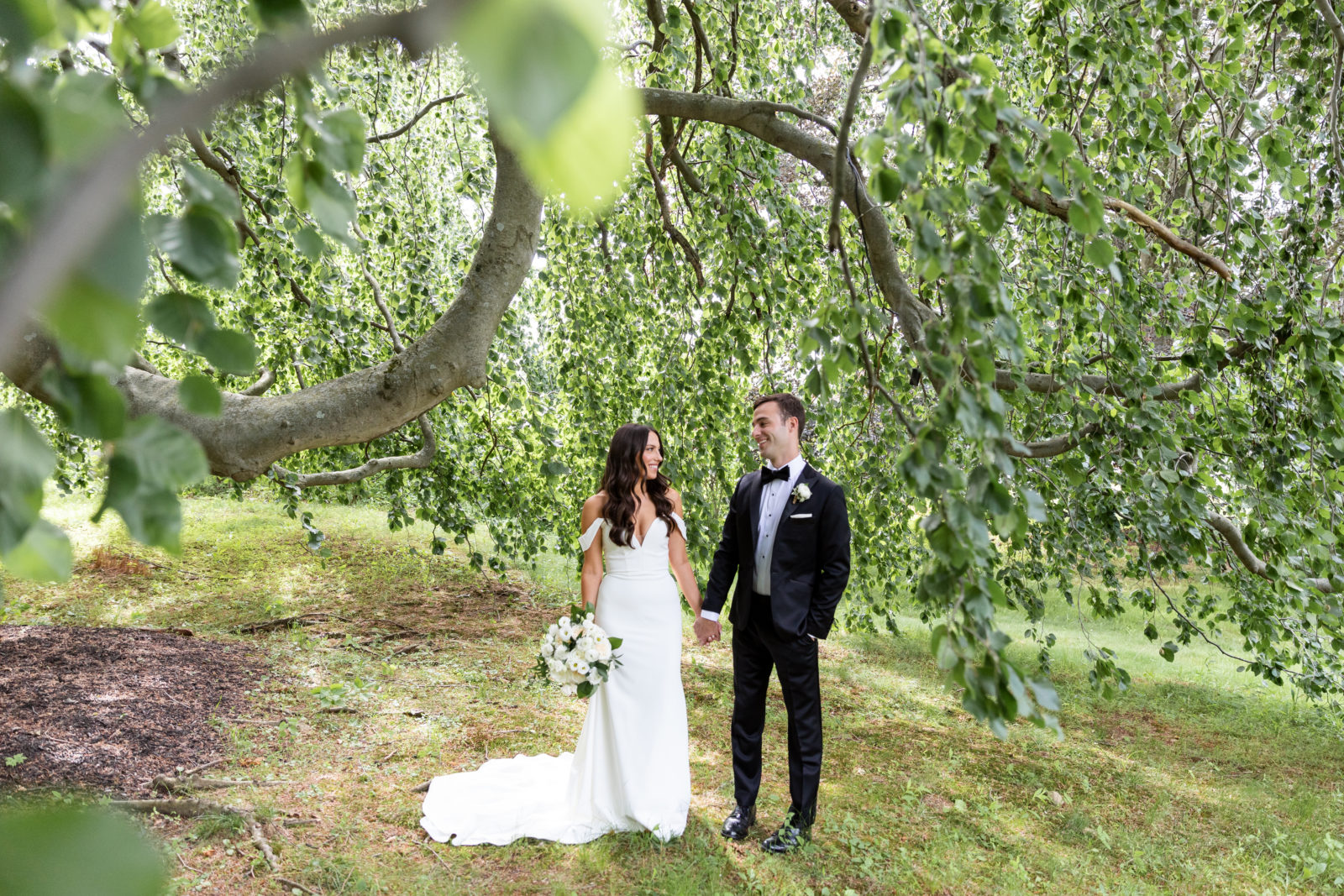 Bride and groom under weeping beech tree