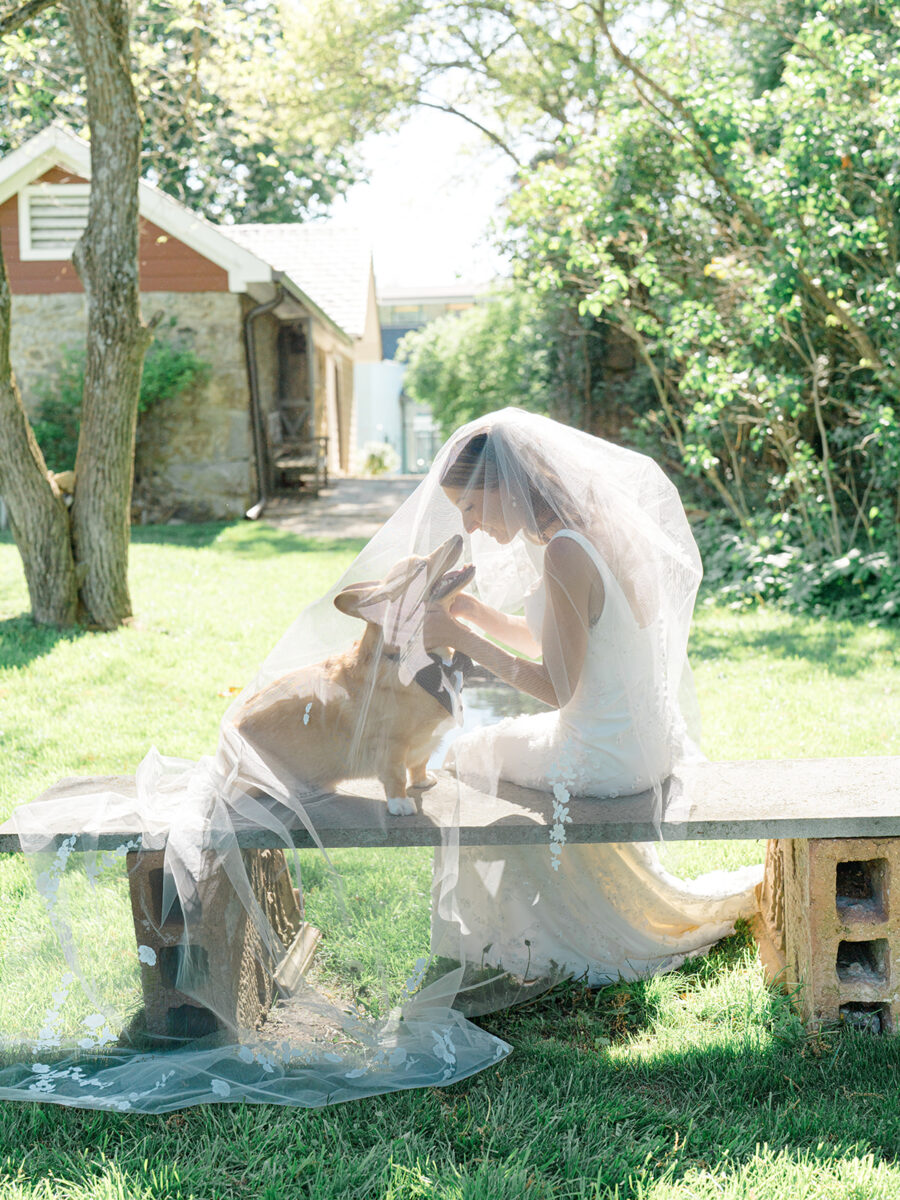 Dog-Friendly Wedding Venue, Corgi & Bride