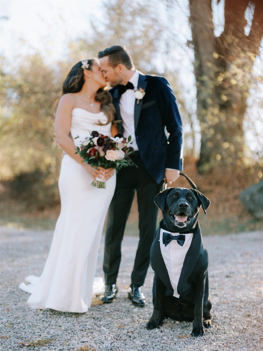 Furry Baby with Bride & Groom