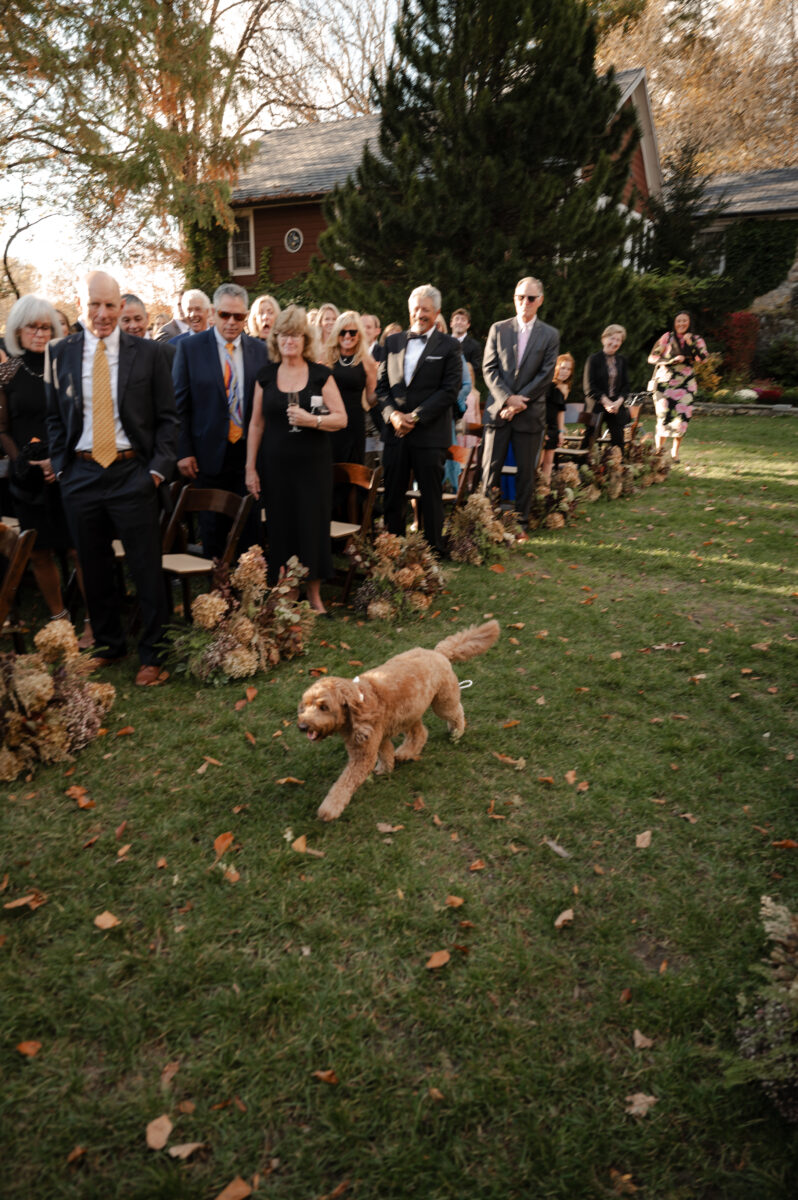 Flower Pup, Dog-Friendly Wedding Ceremony