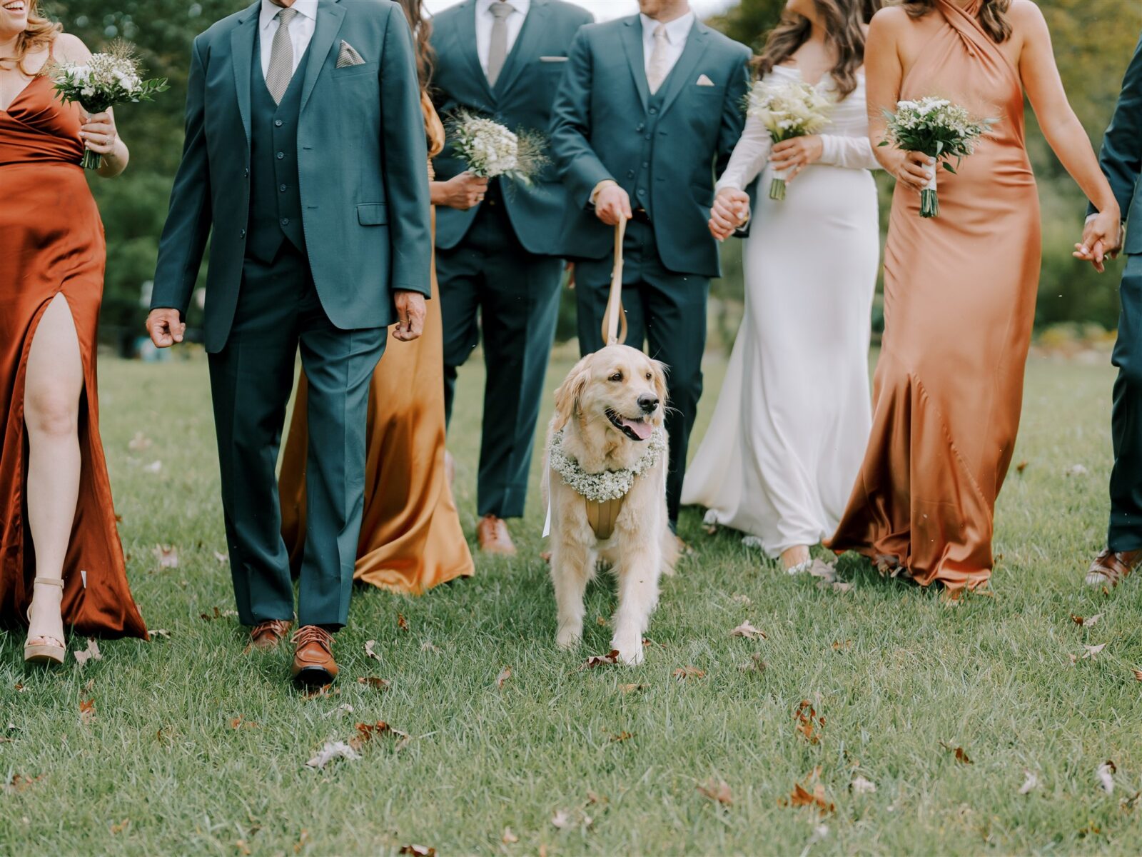Golden Retriever Wedding Party