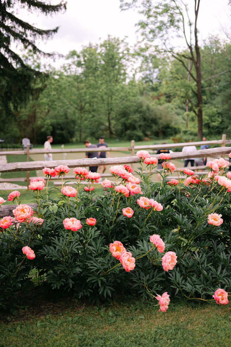 Spring Wedding Venue. Peonies, Garden Wedding Venue