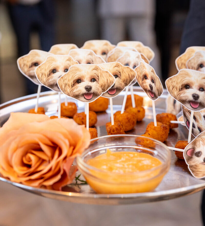 Mac & Cheese Bites personalized with the couples pup, dog food pick